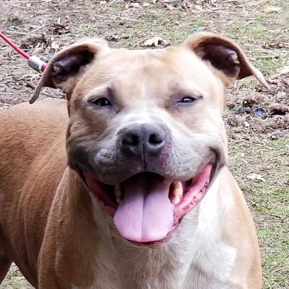 Meet your Posher, Dorothy